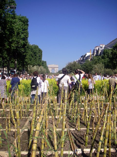 2010 05 24 jeanmarcperfetti.com 064.JPG